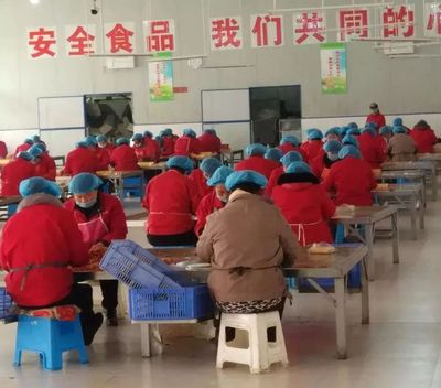 凝聚巾幗力量，助力脫貧攻堅——南陽市“巧媳婦”基地業務培訓系列展示（十二）